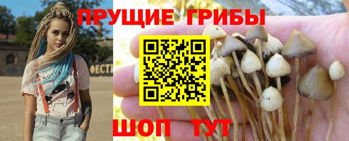 Галлюциногенные грибы Cubensis  закладка  Узловая  Вход с VPN 